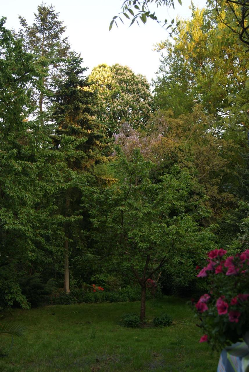 "Am Griebnitzsee" 14482 Potsdam-Babelsberg Luaran gambar